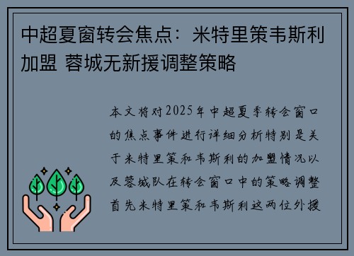 中超夏窗转会焦点：米特里策韦斯利加盟 蓉城无新援调整策略
